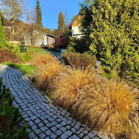 Beskid Ski Villa Wisła Exterior foto