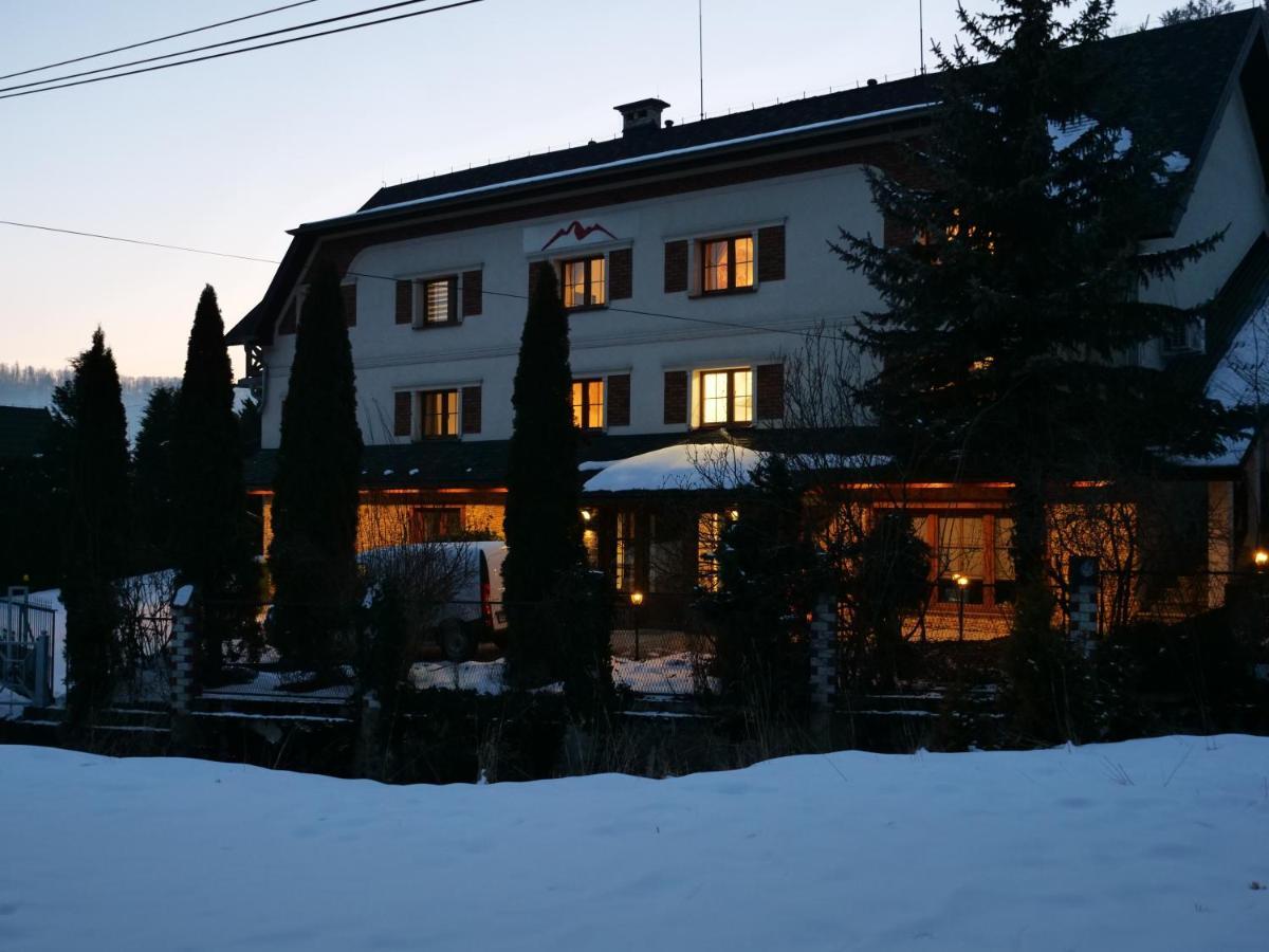 Beskid Ski Villa Wisła Exterior foto