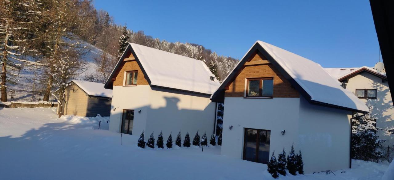 Beskid Ski Villa Wisła Exterior foto