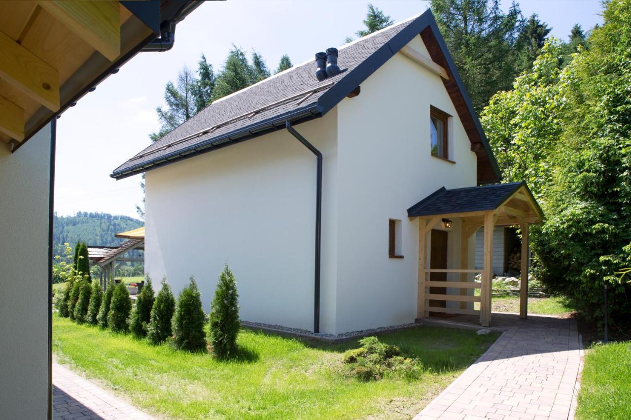 Beskid Ski Villa Wisła Exterior foto