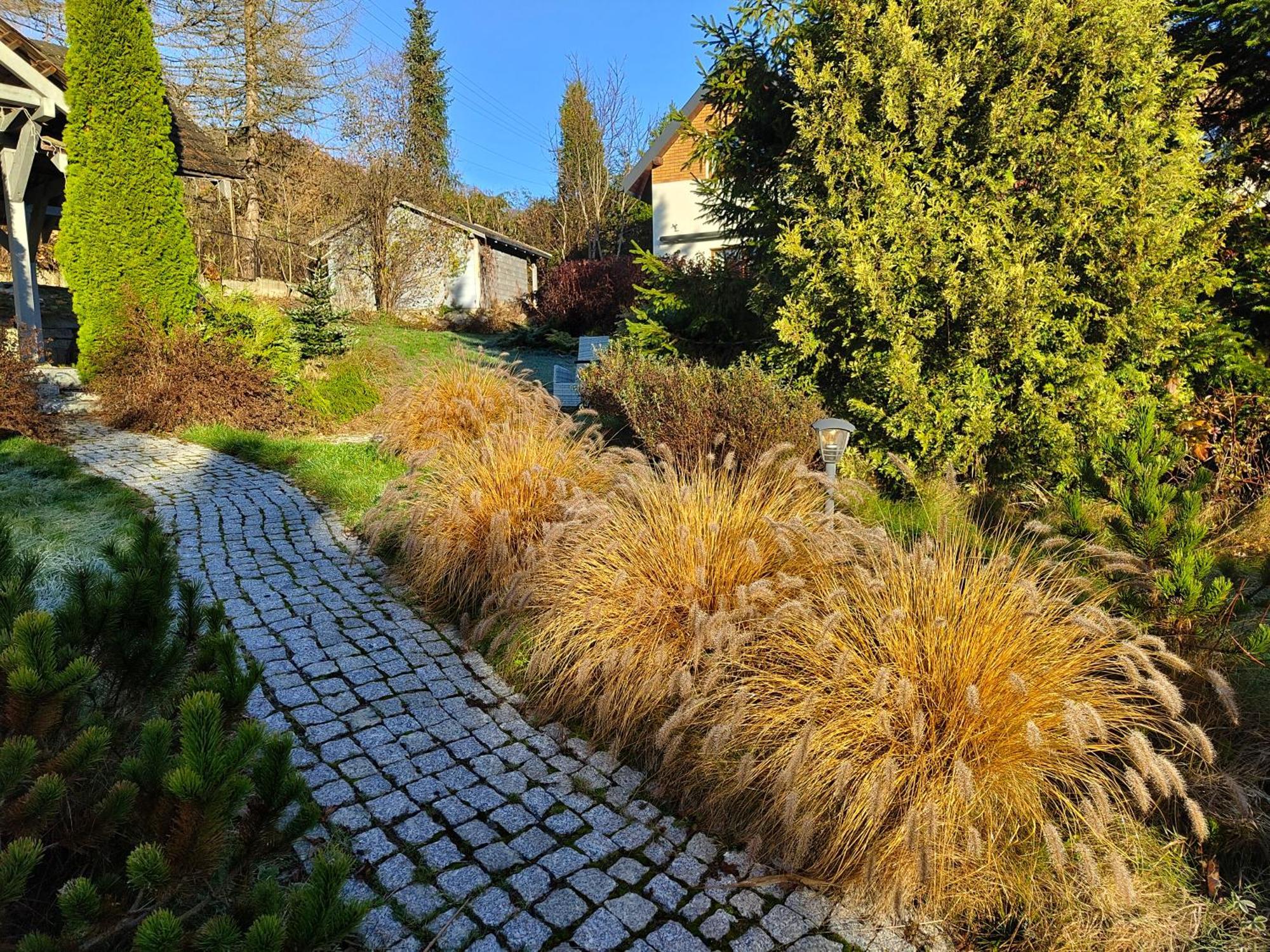 Beskid Ski Villa Wisła Exterior foto